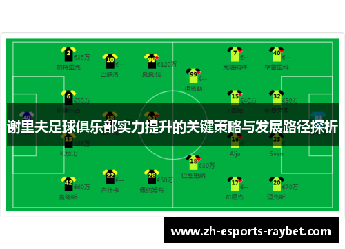 谢里夫足球俱乐部实力提升的关键策略与发展路径探析