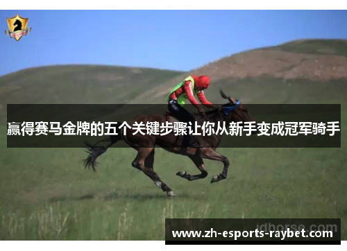 赢得赛马金牌的五个关键步骤让你从新手变成冠军骑手 赢得赛马金牌的五个关键步骤让你从新手变成冠军骑手