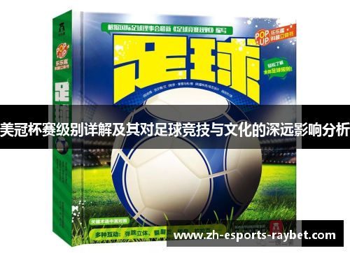 美冠杯赛级别详解及其对足球竞技与文化的深远影响分析