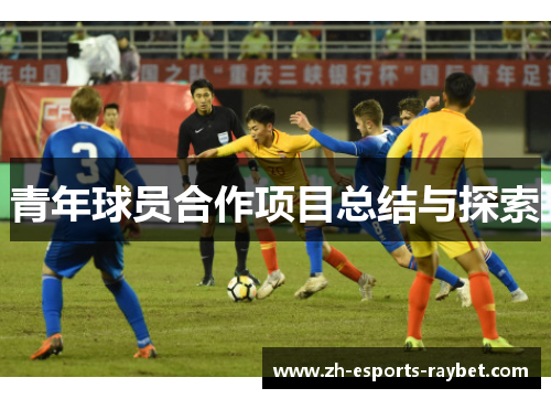 青年球员合作项目总结与探索 青年球员合作项目总结与探索