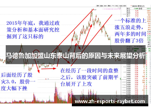 马德鲁加加盟山东泰山背后的原因与未来展望分析 马德鲁加加盟山东泰山背后的原因与未来展望分析