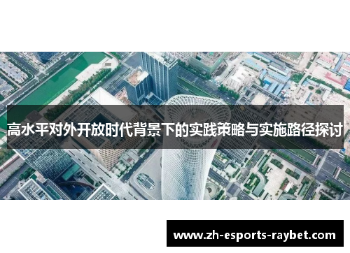 高水平对外开放时代背景下的实践策略与实施路径探讨 高水平对外开放时代背景下的实践策略与实施路径探讨