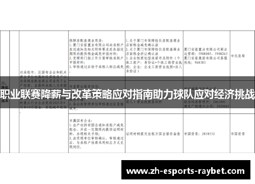 职业联赛降薪与改革策略应对指南助力球队应对经济挑战