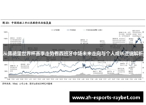 从佩德里世界杯赛季走势看西班牙中场未来走向与个人成长逻辑解析 从佩德里世界杯赛季走势看西班牙中场未来走向与个人成长逻辑解析
