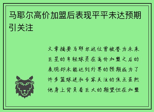 马耶尔高价加盟后表现平平未达预期引关注