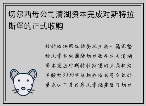 切尔西母公司清湖资本完成对斯特拉斯堡的正式收购